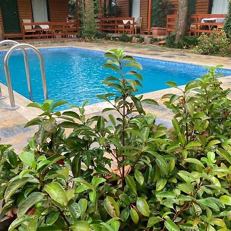 Tatil Keyfi Motel Kocaeli Zewnętrze zdjęcie